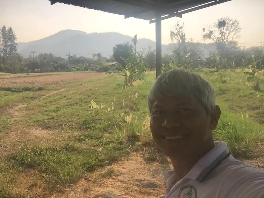 ขายที่ดินยกแปลง 10.9175 ไร่ เหมาะสำหรับทำบ้านพักตากอากาศ รีสอร์ท ร้านอาหาร บ้านช่องมะเฟือง ต.หนองรี อ.เมือง ชลบุรี 11