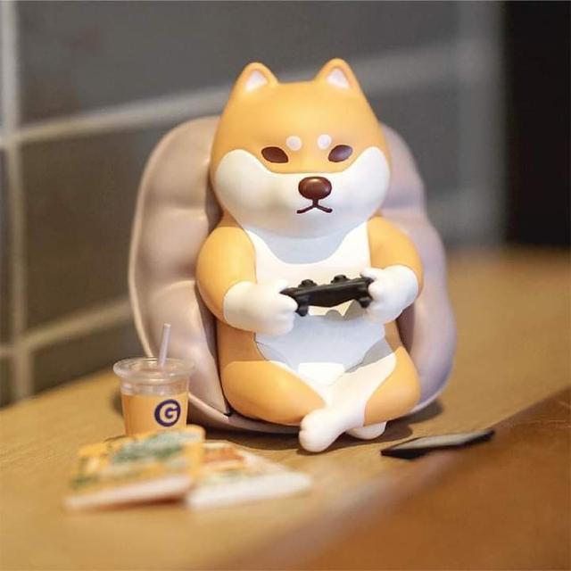 Guraya Home Shiba 3