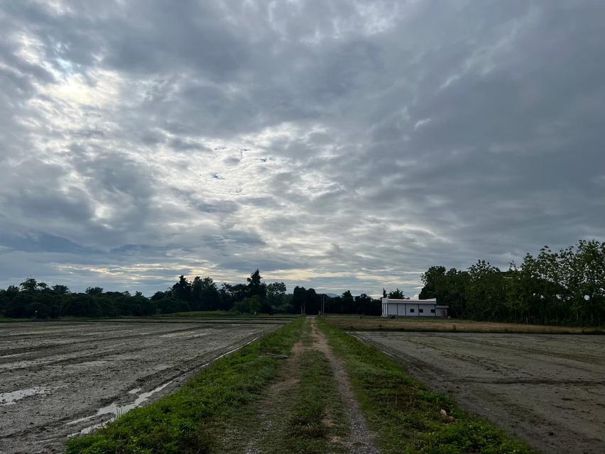 ที่ดิน เจ้าของขายเอง ปี 2569 1