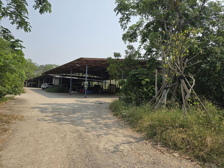  Land House and Warehouse Buildings for Sale —BangSai  3