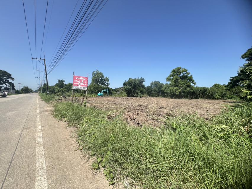 ที่ดินเปล่า ติดถนน ตำบลพืชอุดม อำเภอลำลูกกา จังหวัดปทุมธานี 5