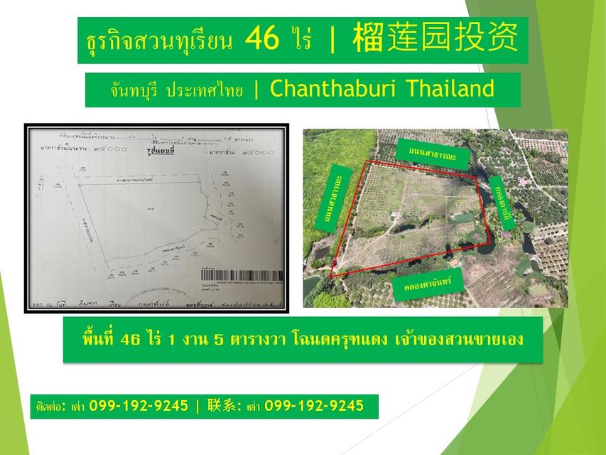 ธุรกิจสวนทุเรียนที่ดินพร้อมสวน 1