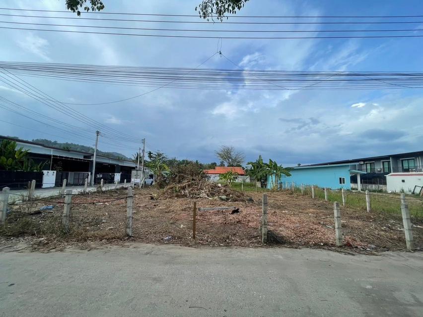 ที่ดิน100 ตรว ป่าคลอกครับ 4