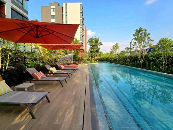 ขายคอนโด ใหม่ dcondo Vivid Rangsit ตรงข้าม ม.กรุงเทพ ข้ามสะพานลอยก็ถึงมหาลัย พร้อมอยู่ โทร 0616161426 5