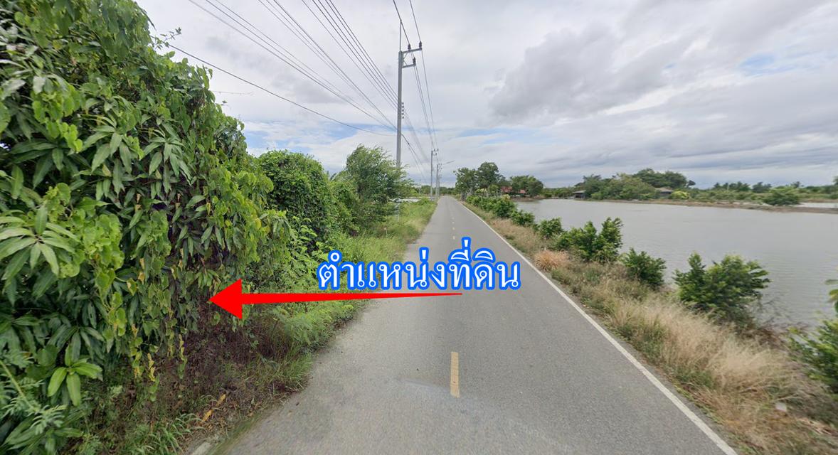 ขายที่ถมแล้วบางส่วน 2 ไร่ ติดถนนสองด้าน ต.บ้านโพธิ์ อ.บ้านโพธิ์ จ.ฉะเชิงเทรา 2