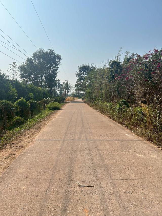 บ้านพร้อมที่ดิน 40 ไร่ จังหวัดพิษณุโลก อำเภอเนินมะปราง 7