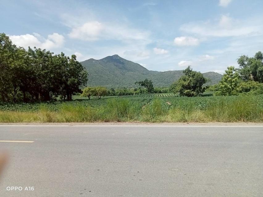 ที่ดิน ห้วยโป่ง โคกสำโรง จ. ลพบุรี 13
