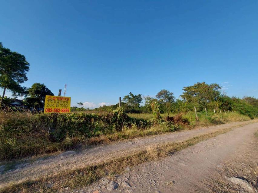 ขายที่ดินเปล่า ซอยวัดสุขใจ 14 แยก 4 คลองสามวา กรุงเทพมหานคร 3