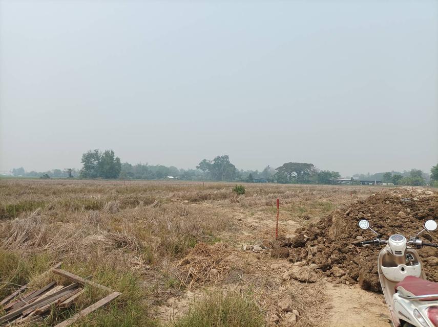 ขายที่ดิน 9,900บาท/ตร.ว. ต.สันปูเลย อ.ดอยสะเก็ด จ.เชียงใหม่ 8