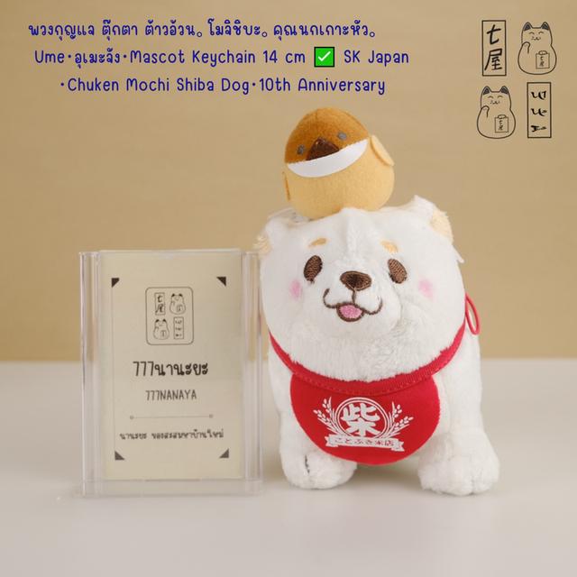 พวงกุญแจ ตุ๊กตา ต้าวอ้วน。โมจิชิบะ。รุ่นคุณนกกระจอกเกาะหัว。Ume・อุเมะ・Mascot Keychain 14 cm ✅ SK Japan・Chuken Mochi Shiba Dog・10th Anniversary Series ❄️✨