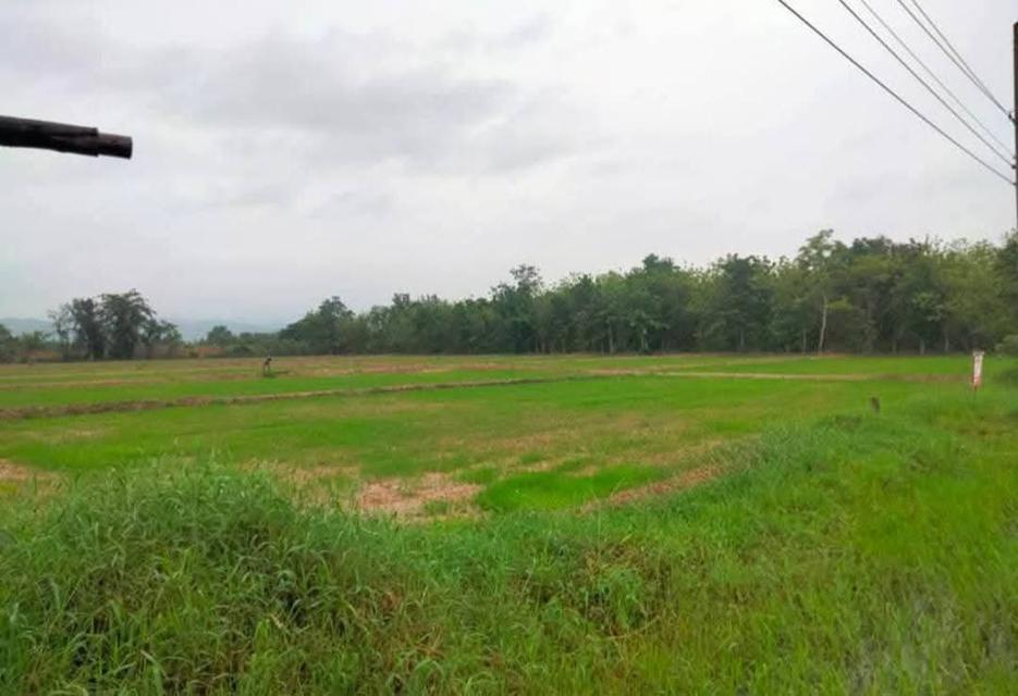 ที่ดินศักยภาพสูง ติดทางหลวงสายหลัก (สาย 102) ศรีสัชนาลัย - อุตรดิตถ์ 1