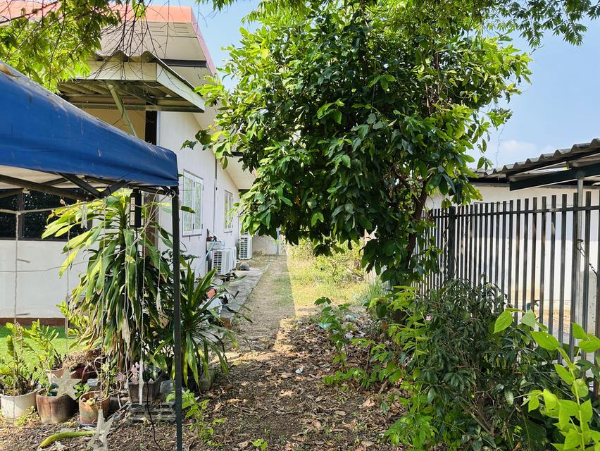 บ้านเดี่ยว 2 ห้องนอน 1 ห้องน้ำ 7