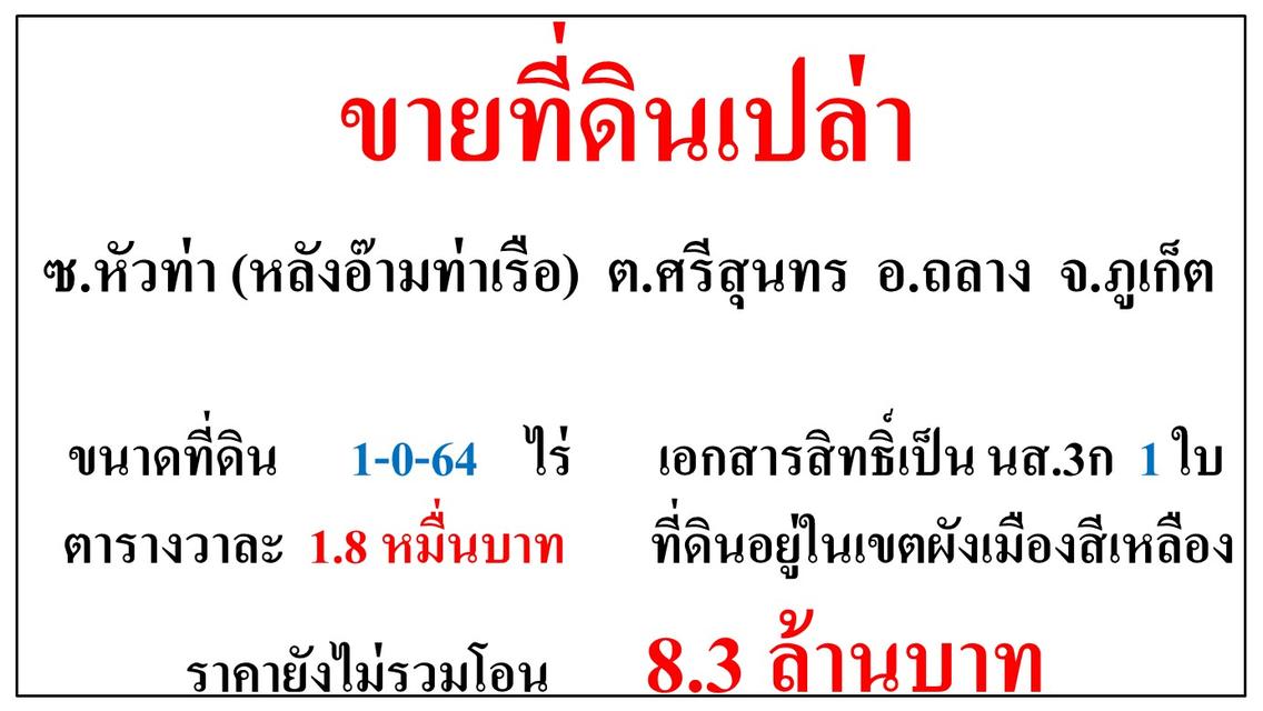 ขายที่ดินเแล่า ขนาด 1-0-64 ไร่  ซ.หัวท่า (หลังอ๊ามท่าเรือ)  ต.ศรีสุนทร  อ.ถลาง  ภูเก็ต 1