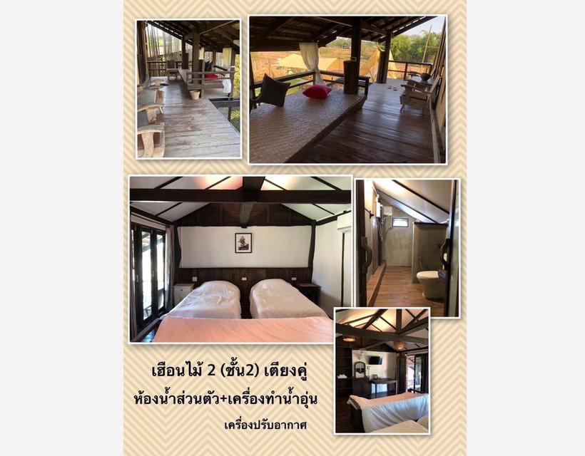 ให้เช่า/ขาย โฮมสเตย์เมืองเชียงราย บรรยากาศโรแมนติค ใกล้ชิดธรรมชาติ แบ่งเป็นบ้านพัก 2 หลัง 684 ตร.วา 5 ห้องนอน 11 ห้องน้ำ ใกล้ไร่เชิญตะวัน 7