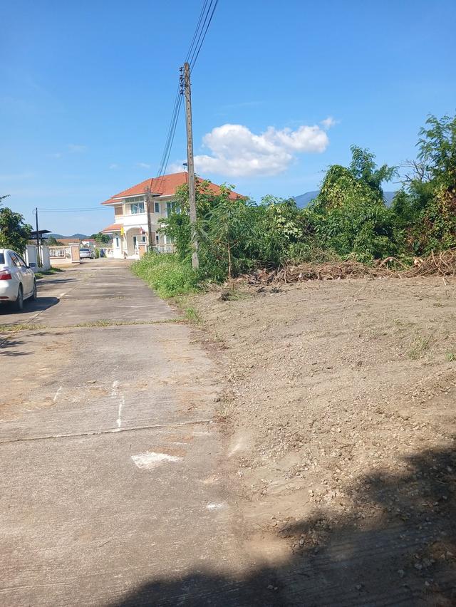 ที่ดินเปล่า 94 ตรว. ในหมู่บ้านตำหนักนคร ต.หนองควาย อ.หางดง 5