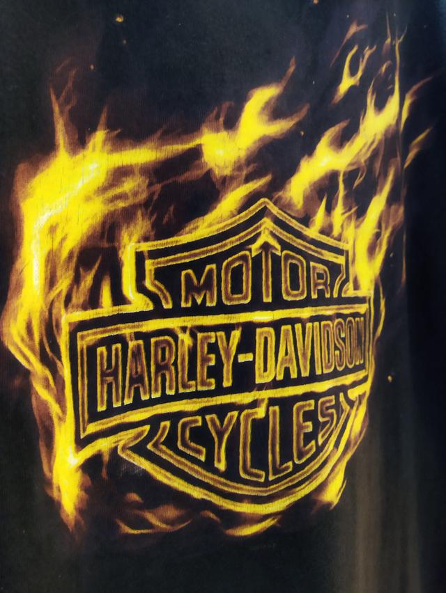 เสื้อยืด ฮาร์เลย์ เดวิดสัน Harley Davidson ตอกปี2010 size L สภาพ8/10 รูปที่ 16