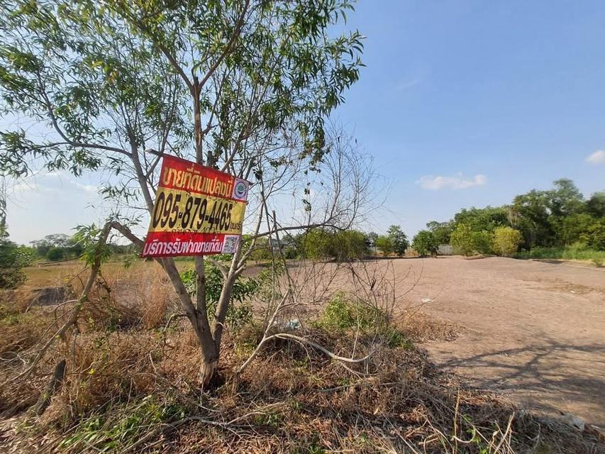 ขายด่วน !! ที่ดินคลองห้า 1 ไร่ ถมแล้วทั้งแปลง ติดถนนคอนกรีต กลั่นกรอง อ.คลองหลวง จ.ปทุมธานี 1