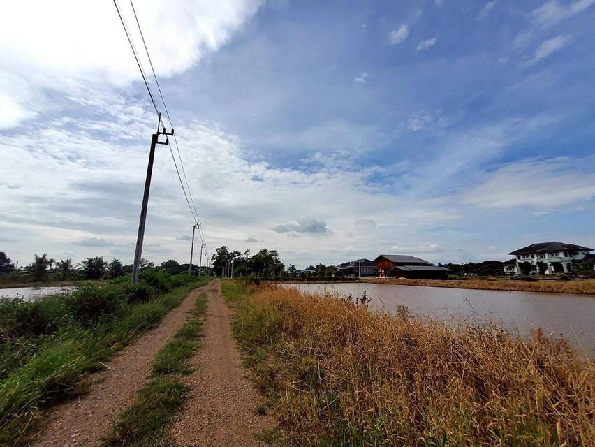 ขายถูกที่ดินคลองสิบสาม 3 ไร่เศษ ติดถนนสาธารณะ มีไฟฟ้า 3 เฟส เขตหนองจอก กทม. 5