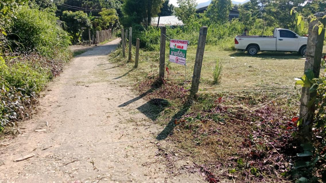 📣 โอกาสทอง! ที่ดินเกือบ 2งาน 270,000บาท ทำเลดี อ.เมืองลำพูน ราคาสุดคุ้ม! 🏡✨ 2