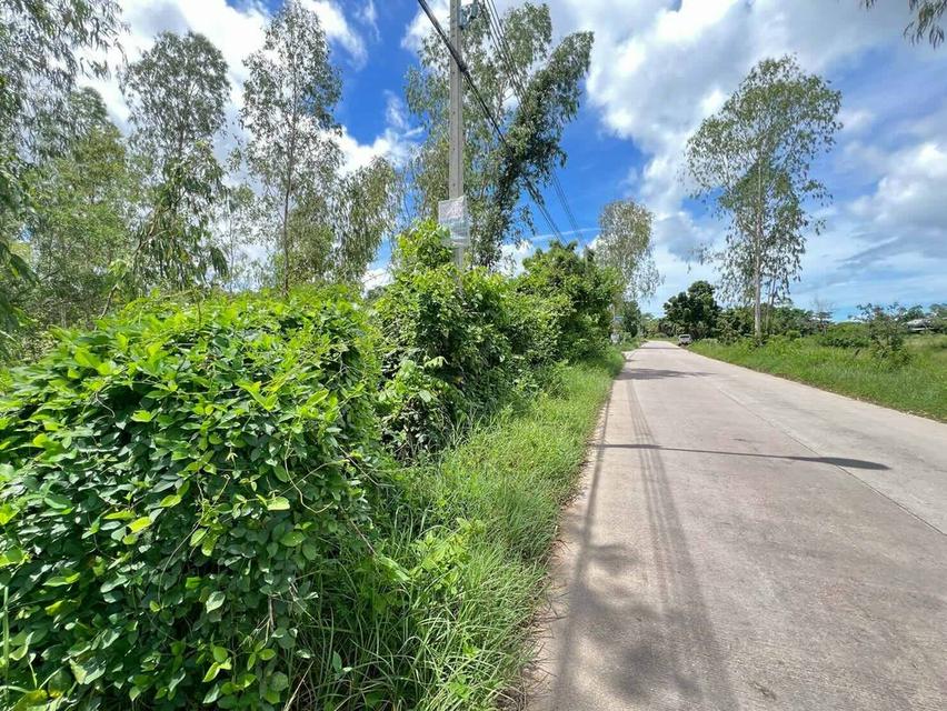 💥ขายที่ดินห้วยใหญ่ พัทยา เหมาะสำหรับลงทุน💥 3