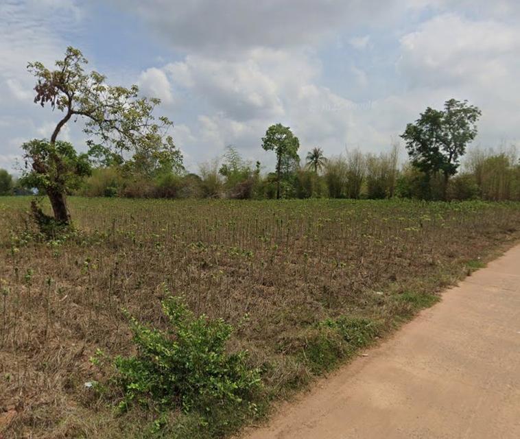 ขายที่ดินนนทรี 9 ไร่ ซอยวัดสระขุด ใกล้ถ.สุวรรณศร33สนามไดร์ฟกลอ์ฟ-500เมตร อ.กบินทร์บุรี ปราจีนบุรี 5