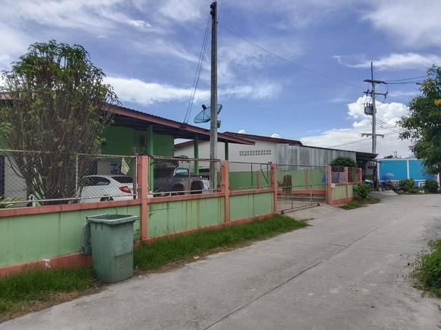 ขายหอพักพานทองชลบุรี ขายหอพัก 3 ห้อง ถนนสุขประยูร หนองตำลึง พานทอง ชลบุรี เนื้อที่ 86 ตรว. ห้องพัก3ห้องห้องละ3000 2