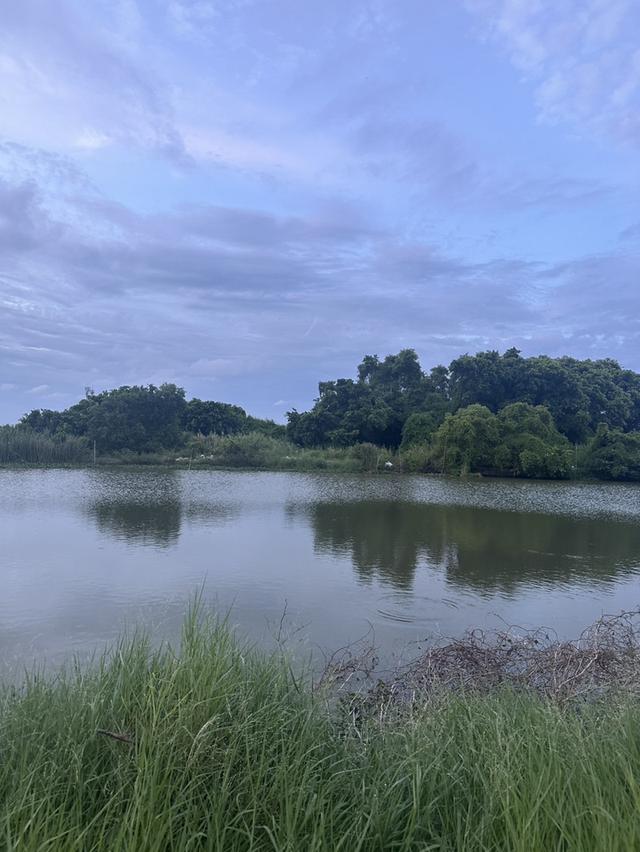 ที่ดินแปลงใหญ่ ทำเลศักยภาพ ใกล้นิคมอุตสาหกรรมบางพลี ถนนเทพารักษ์ ทางพิเศษบูรณาวิถี