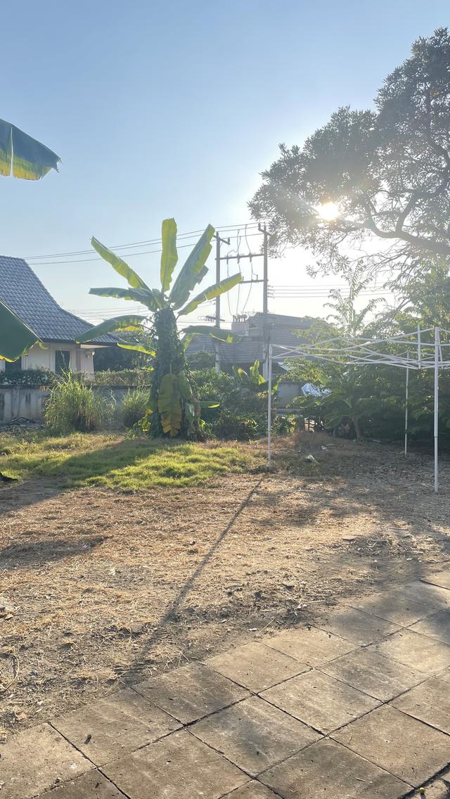 ที่ดินเปล่าโซนป่าแดด อ.เมือง จ.เชียงใหม่ ตัวเมือง เหมาะกับสร้างบ้านอยู่/เช่า/ทำกิจการ ผู้อยู่อาศัยเยอะมาก ร้านค้ามีเยอะเดินทางสะดวก 3