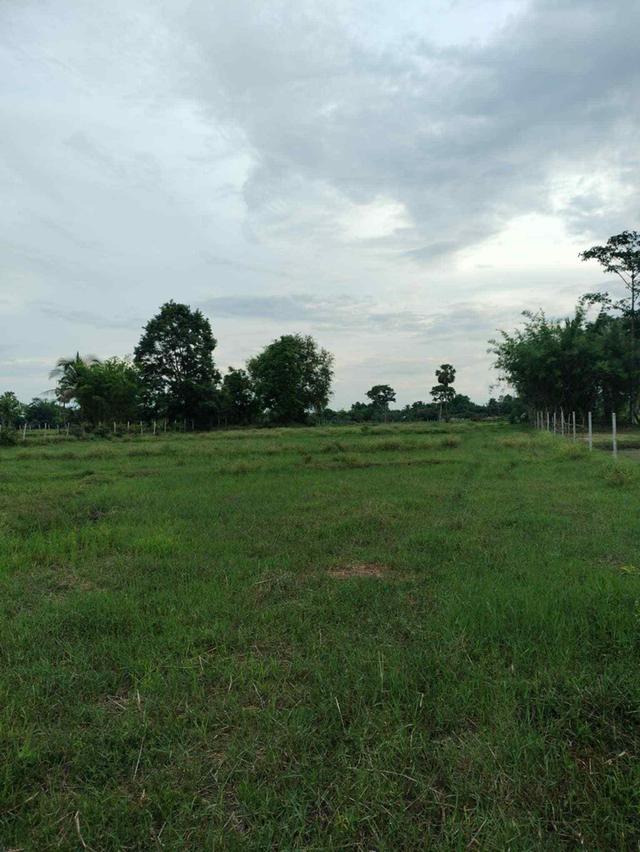 ที่ดิน