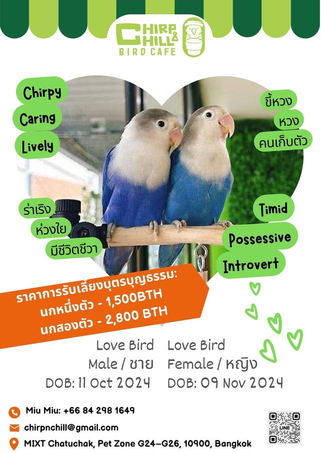 Chirp and Chill
