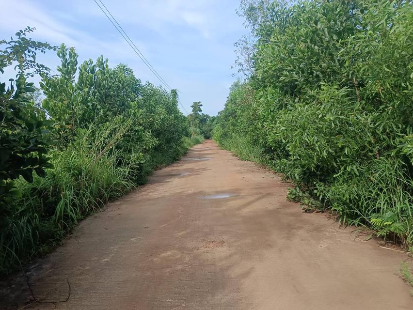 ขายที่ดินนนทรี 18 ไร่ ใกล้ถนนเส้นสุวรรณศร33-2กม. อ.กบินทร์บุรี ปราจีนบุรี 1