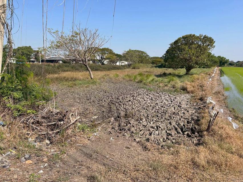 ที่ดินติดถนน ปทุมธานี สามโคก 14 ไร่ แปลงสวย ตำบาลบางเตย ใกล้มหาลัยชินวัตร 4