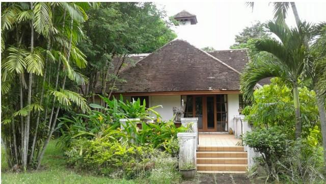 ขายที่ดิน115ไร่ ลดพิเศษ 55ล. ผ่อนได้ ฟรีโอน บ้านยุโรป3หลัง สาธารณูปโภค เหมาะทำรีสอร์ท คาเฟ่ ที่เที่ยว เกษตร ใกล้เทศบาล ต 8