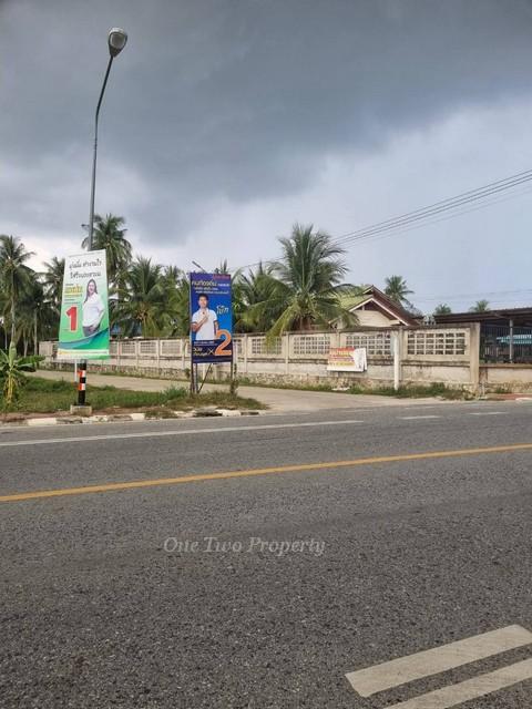 ขายที่ดินซอยวันญาณ นาจอมเทียน พัทยา เนื้อที่ 200 ตารางวา 9