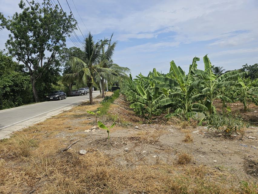 ขายที่ดินจังหวัดนนทบุรี 1