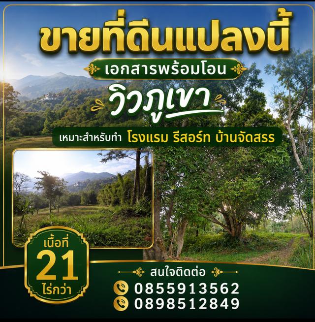 ขายที่ดิน วิวภูเขา 360 องศา เอกสารพร้อมโอนเหมาะสำหรับทำโรงแรม รีสอร์ท บ้านจัดสรร 1