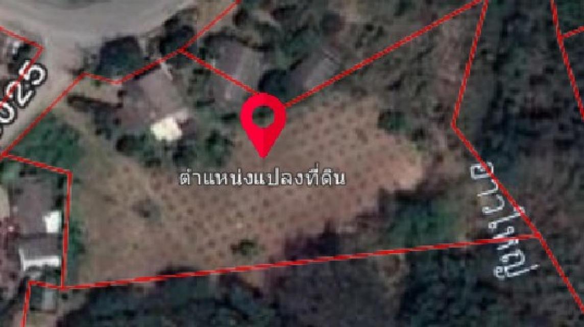 ที่ดิน 1