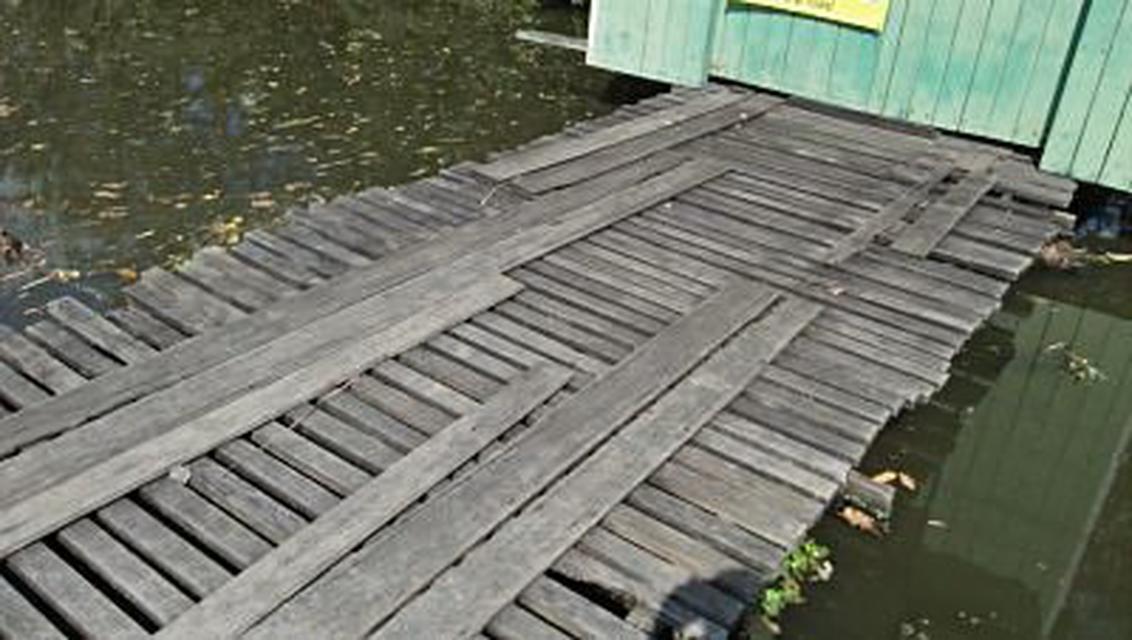 รูป ที่ดิน เหมาะสำหรับคนชอบมีบ้านสวน ชานเมือง ไร่ขิง สามพราน 5