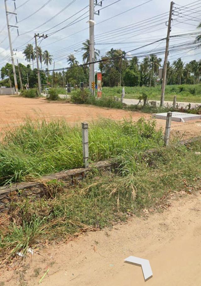 ประกาศให้เช่าที่ดินทำเลดี ต.ตะเคียนเตี้ย อ.บางละมุง จ.ชลบุรี 2