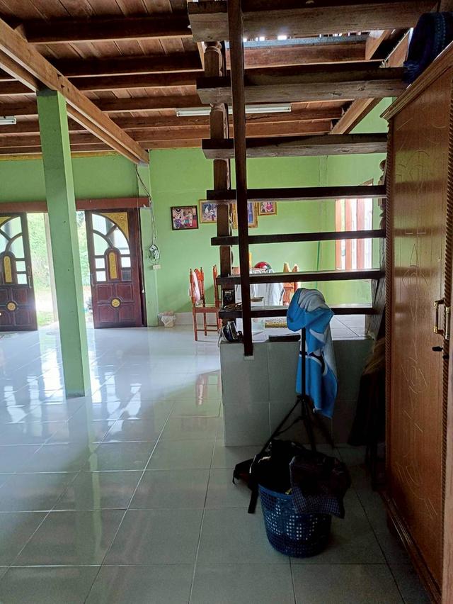 ขายบ้านจังหวัดมุกดาหาร บ้านเดี่ยว 2 ชั้น 1ไร่ 1งาน 30ตร.วา ราคา 1.7ล. 5