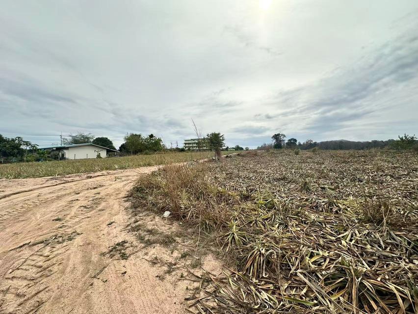 ขายที่ดินระยอง นิคมพัฒนา 49ไร่ 35.3ตร.ว *ผังสีม่วงลาย* 4