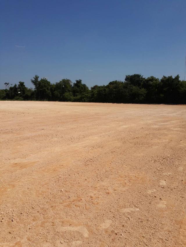 ขายที่ดินถมแล้ว 12 ไร่ มาบตาพุด ระยอง 3