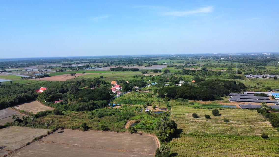 ที่ดินสวนไผ่ราคาไร่ละ200,000บาทติดถนน 3