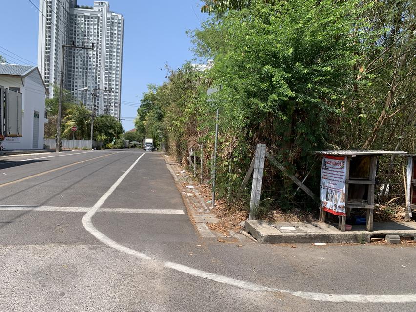 ที่ดินข้างเซ็นทรัลหาดใหญ่ 3