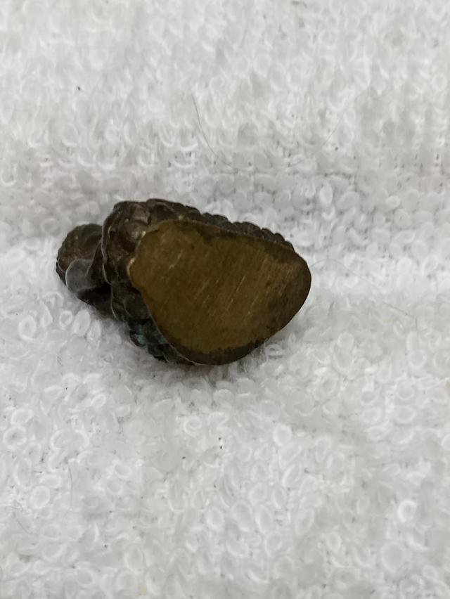 รูปหล่อพระเชียงแสน สิงห์1 5