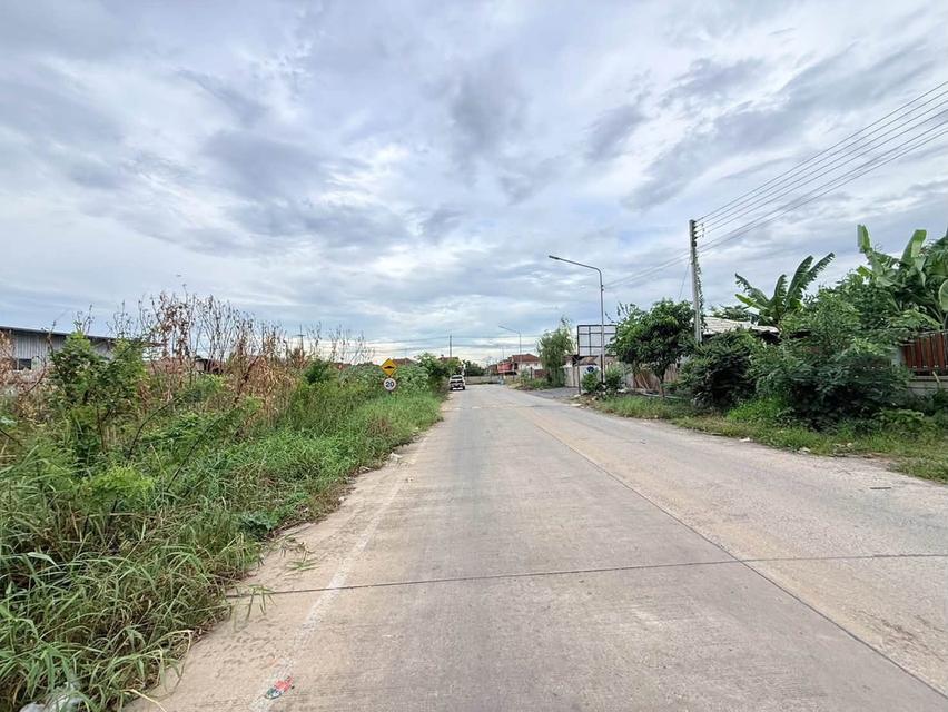 ขายด่วนที่ดินคลองสอง 363 ตรว ติดถนนคอนกรีต ซ.บงกช 69 อ.คลองหลวง จ.ปทุมธา 5