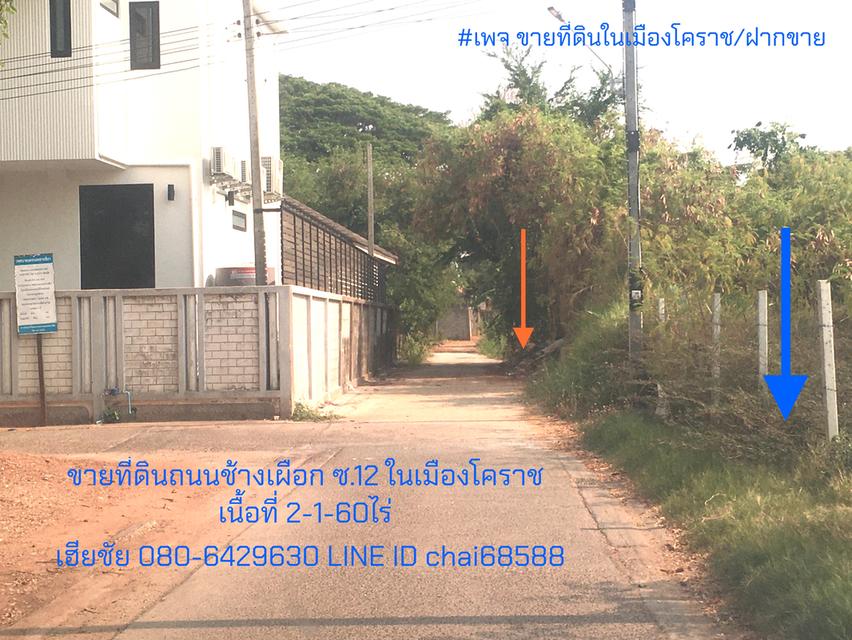 ขายที่ดินซอยช้างเผือก 12 ในเมืองโคราช ทำเลหอพัก อพาร์ทเม้นท์ คอนโด ที่ดินถมแล้ว เนื้อที่ 2-1-60ไร่ ติดถนน 2ด้าน ขนาดที่ 70x40m 4
