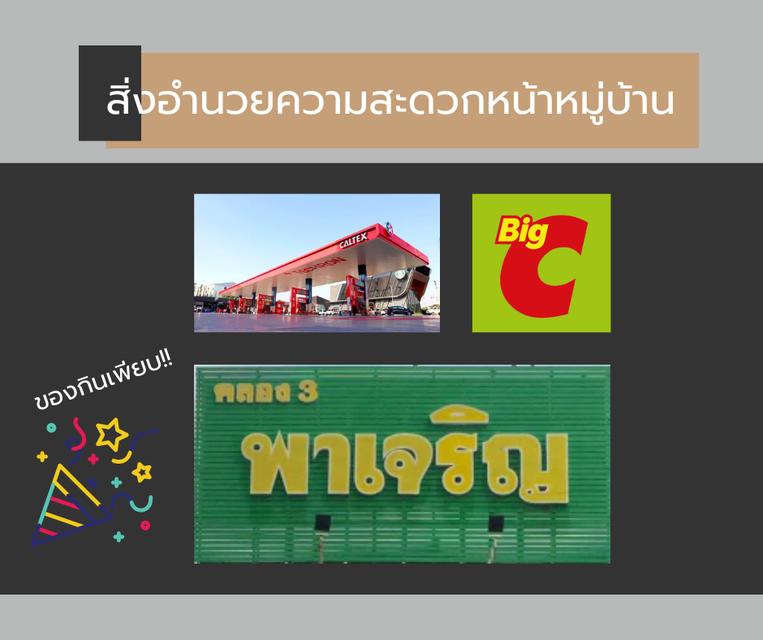 หมู่บ้านธนนันท์วิลเลจ 10