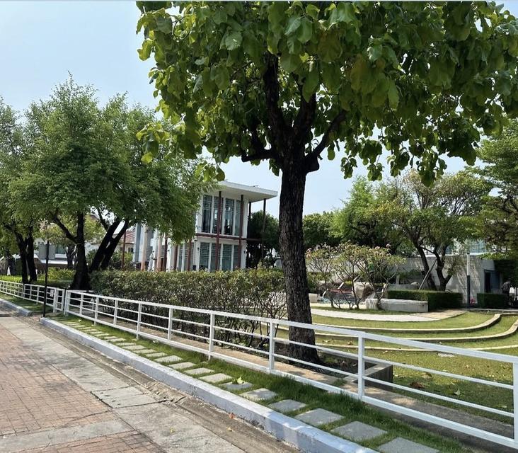 ขายบ้านเดี่ยว The Centro สุขุมวิท113 รถไฟฟ้า2สายผ่าน 12