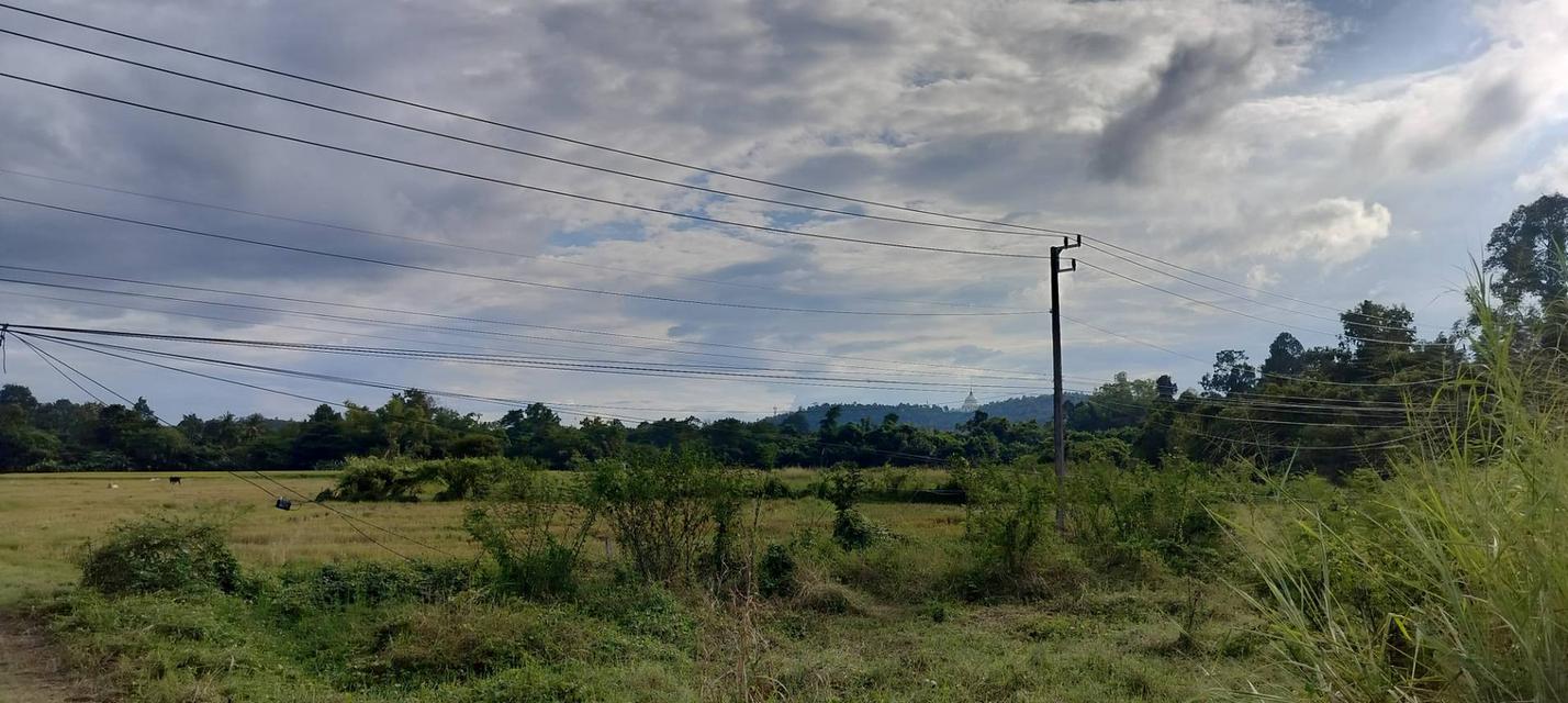 ที่ดิน 7